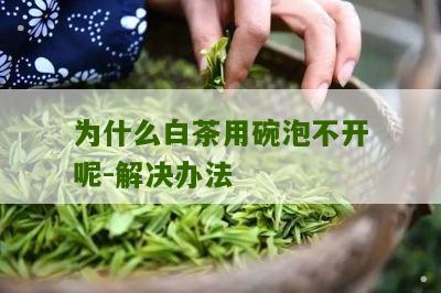 为什么白茶用碗泡不开呢-解决办法