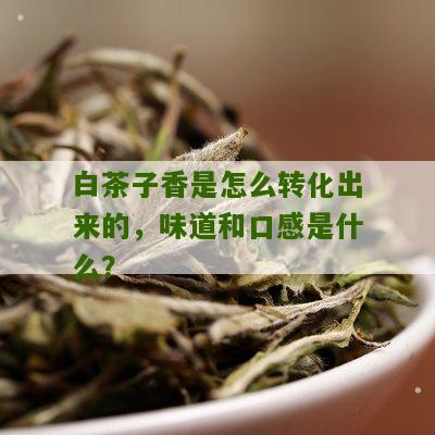 白茶子香是怎么转化出来的，味道和口感是什么？