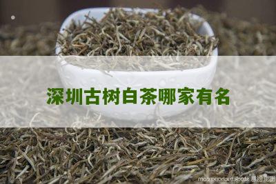 深圳古树白茶哪家有名