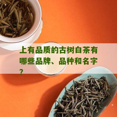 上有品质的古树白茶有哪些品牌、品种和名字？