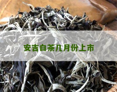 安吉白茶几月份上市