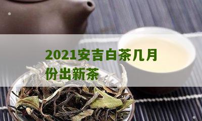 2021安吉白茶几月份出新茶