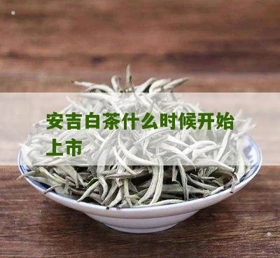 安吉白茶什么时候开始上市