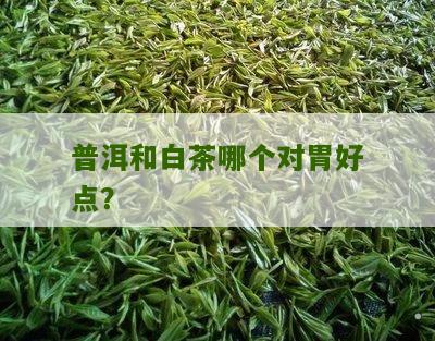 普洱和白茶哪个对胃好点？