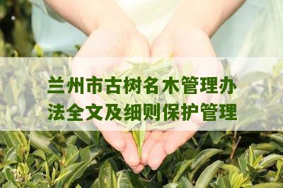 兰州市古树名木管理办法全文及细则保护管理