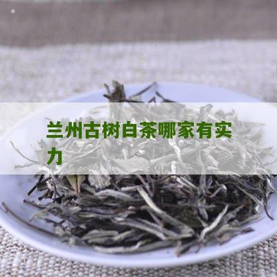 兰州古树白茶哪家有实力