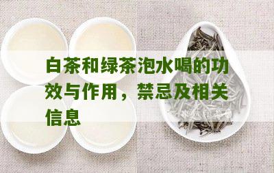 白茶和绿茶泡水喝的功效与作用，禁忌及相关信息