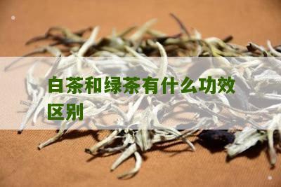 白茶和绿茶有什么功效区别