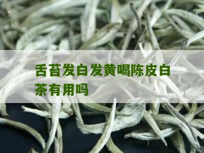 舌苔发白发黄喝陈皮白茶有用吗