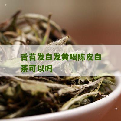 舌苔发白发黄喝陈皮白茶可以吗