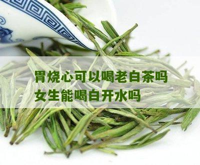 胃烧心可以喝老白茶吗女生能喝白开水吗