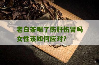 老白茶喝了伤肝伤肾吗女性该如何应对？