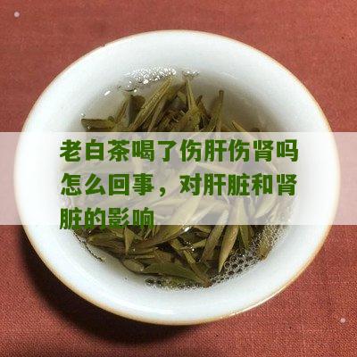 老白茶喝了伤肝伤肾吗怎么回事，对肝脏和肾脏的影响