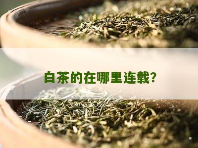 白茶的在哪里连载？