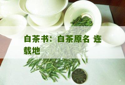 白茶书：白茶原名 连载地