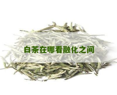 白茶在哪看融化之间