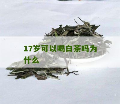 17岁可以喝白茶吗为什么