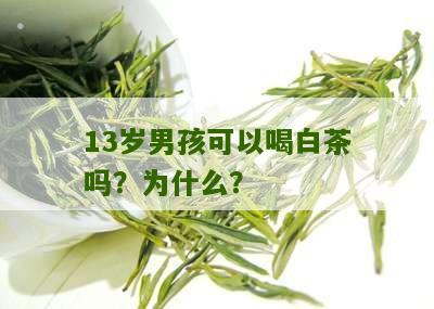 13岁男孩可以喝白茶吗？为什么？