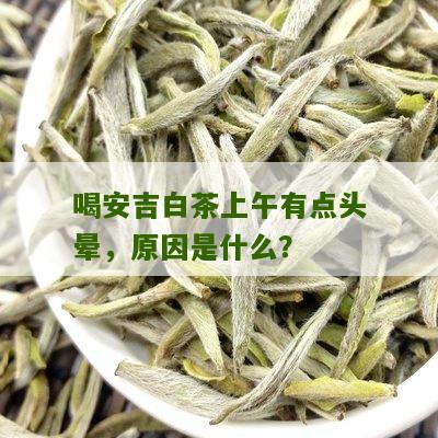 喝安吉白茶上午有点头晕，原因是什么？