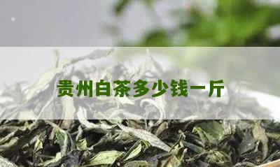 贵州白茶多少钱一斤