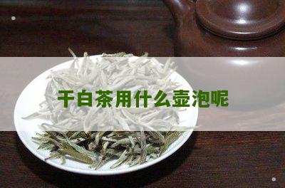 干白茶用什么壶泡呢