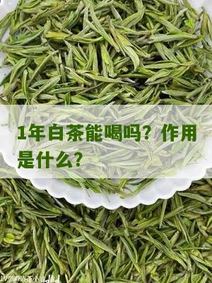 1年白茶能喝吗？作用是什么？