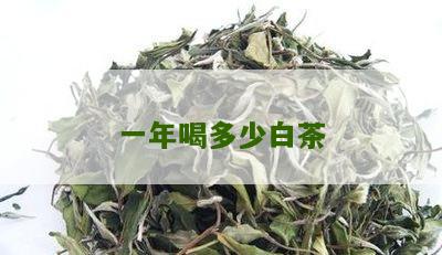 一年喝多少白茶