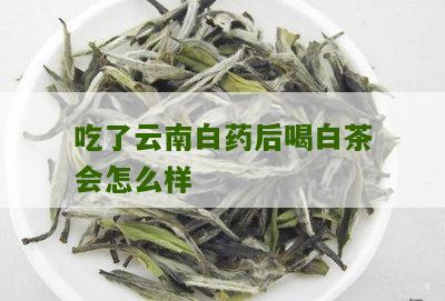 吃了云南白药后喝白茶会怎么样