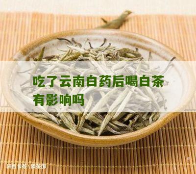 吃了云南白药后喝白茶有影响吗