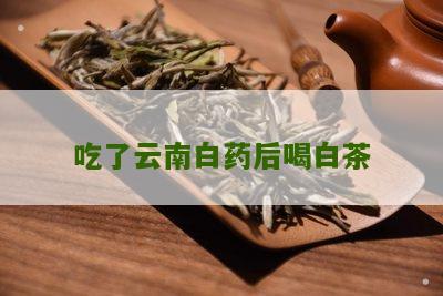 吃了云南白药后喝白茶