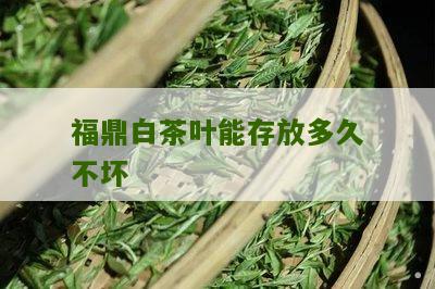 福鼎白茶叶能存放多久不坏