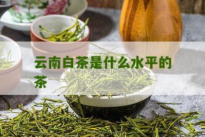 云南白茶是什么水平的茶