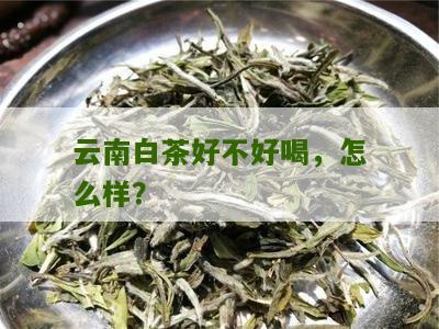 云南白茶好不好喝，怎么样？