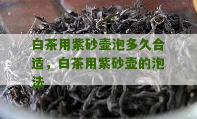 白茶用紫砂壶泡多久合适，白茶用紫砂壶的泡法