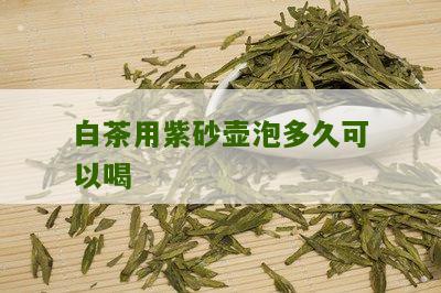 白茶用紫砂壶泡多久可以喝