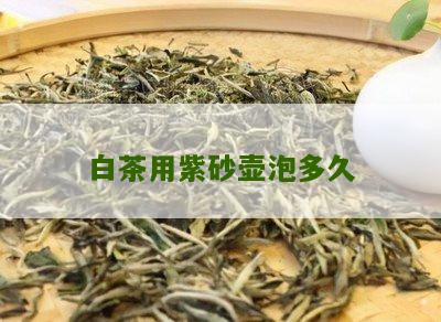 白茶用紫砂壶泡多久