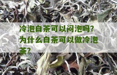 冷泡白茶可以闷泡吗？为什么白茶可以做冷泡茶？