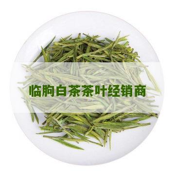 临朐白茶茶叶经销商