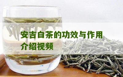 安吉白茶的功效与作用介绍视频