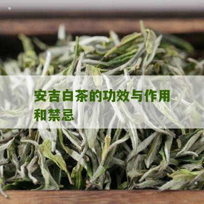 安吉白茶的功效与作用和禁忌