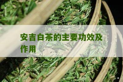 安吉白茶的主要功效及作用