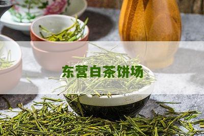 东营白茶饼场