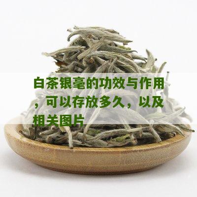 白茶银毫的功效与作用，可以存放多久，以及相关图片