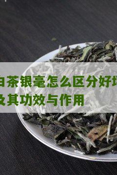 白茶银毫怎么区分好坏及其功效与作用