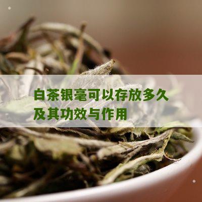 白茶银毫可以存放多久及其功效与作用