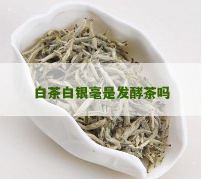 白茶白银毫是发酵茶吗