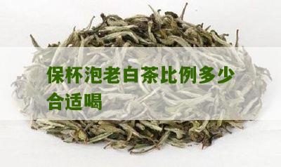 保杯泡老白茶比例多少合适喝