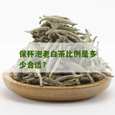 保杯泡老白茶比例是多少合适？