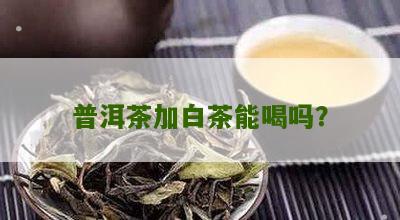 普洱茶加白茶能喝吗？