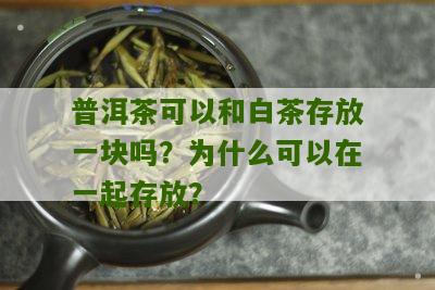 普洱茶可以和白茶存放一块吗？为什么可以在一起存放？